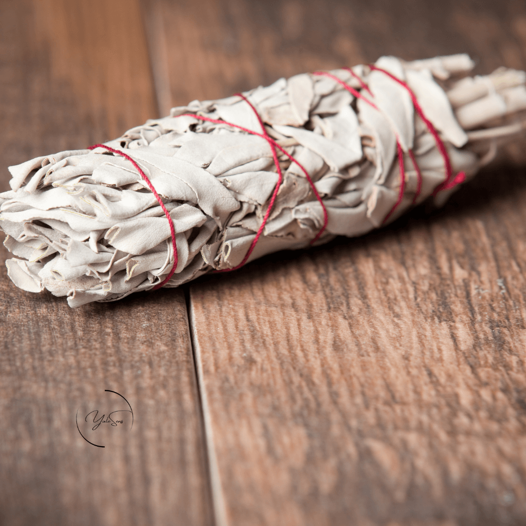 Sauge de Californie - Purification et relaxation naturelle